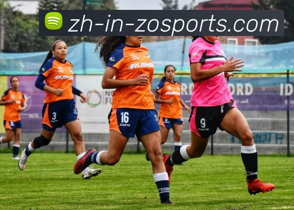 中欧体育服务体系